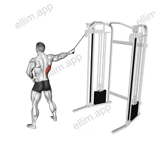 Single Arm Side Straight Arm Lat Pulldown exercise targeting Back and Latissimus Dorsi