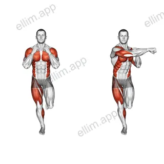 Single Leg Balance Cross Punch exercise targeting Plyometrics