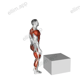 Single Leg Box Jump exercise targeting Plyometrics