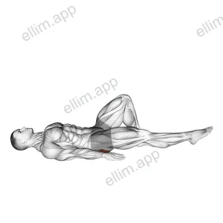 Single Leg Bridge with Outstretched Leg exercise targeting Hips and Gluteus Maximus