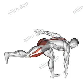 Single Leg Deadlift with Knee Lift exercise targeting Deltoid Anterior and Erector Spinae