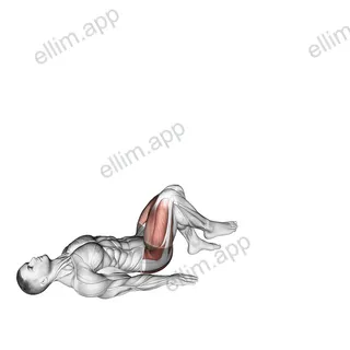 Single Leg Glute Bridge with External Rotation exercise targeting Hips and Adductor Brevis