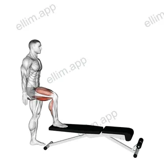 Single Leg Push Off exercise targeting Thighs