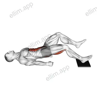 Single Leg Sliding Floor Bridge Curl on Towel exercise targeting Gluteus Maximus and Hamstrings