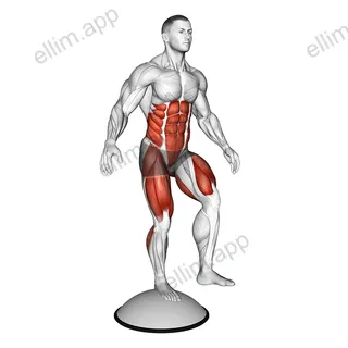 Single Leg Stand on Bosu Ball exercise targeting Plyometrics