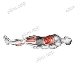 Single Leg Stretch (bent knee) exercise targeting Thighs and Gluteus Maximus