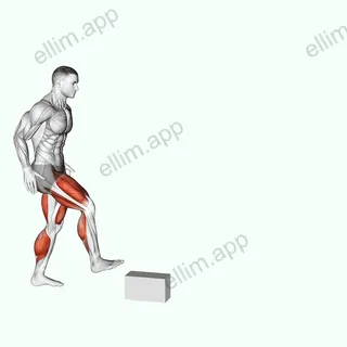 Single Leg Stride Jump exercise targeting Plyometrics