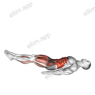 Single Straight Leg Stretch exercise targeting Thighs and Gluteus Maximus