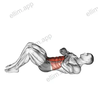 Sit-up with Arms on Chest exercise targeting Waist and Iliopsoas