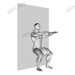Sit (wall) exercise targeting Thighs and Gluteus Maximus
