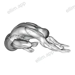 Sitting Crossed Legged Reach Forward Stretch exercise targeting Back