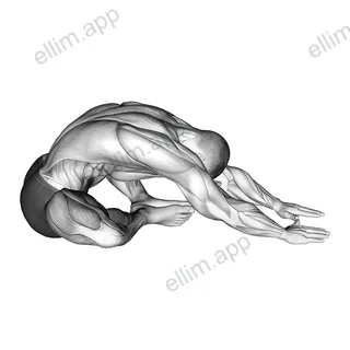 Sitting Feet Together Reach Forward Stretch exercise targeting Back