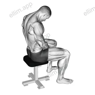 Sitting Neck Flexion Stretch exercise targeting Neck