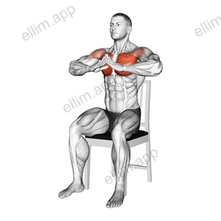 Sitting Prayer Chest Squeeze on a Chair exercise targeting Chest