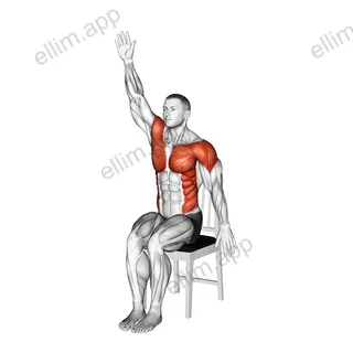 Sitting Swimmer on a Chair exercise targeting Shoulders
