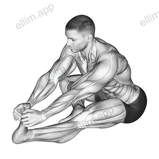 Sitting Toe Pull Calf Stretch exercise targeting Calves