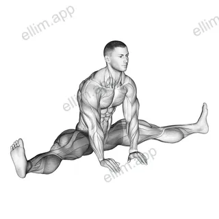 Sitting Wide Leg Adductor Stretch exercise targeting Hips and Adductor Brevis