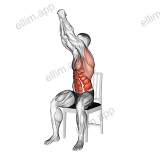 Sitting Woodchopper on a Chair exercise targeting Waist