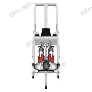 Sled 45ø Leg Press (Back POV) exercise targeting Thighs and Gluteus Maximus