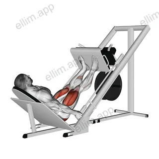 Sled 45 Leg Press exercise targeting Thighs