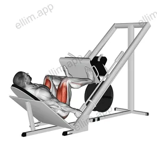 Sled 45 Leg Wide Press exercise targeting Thighs