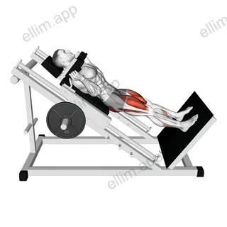 Sled Hack Squat exercise targeting Hips and Gluteus Maximus