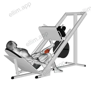Sled One Leg Calf Press on Leg Press exercise targeting Calves and Gastrocnemius