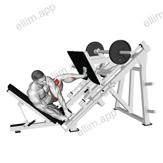 Sled Side Leg Press exercise targeting Hips