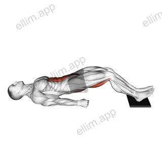 Sliding Floor Bridge Curl on Towel exercise targeting Gluteus Maximus and Hamstrings