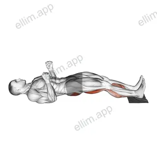 Sliding Leg Curl on Floor with Towel exercise targeting Thighs and Gluteus Maximus