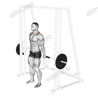 Smith Back Shrug exercise targeting Back and Trapezius Upper Fibers
