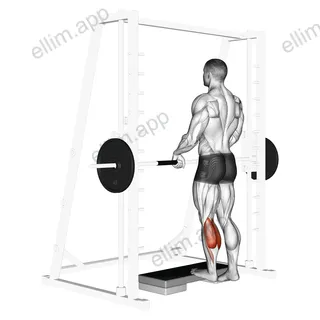 Smith Calf Raise (with block) exercise targeting Calves and Gastrocnemius