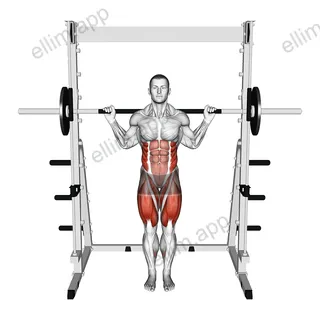 Smith Curtsey Lunge exercise targeting Thighs