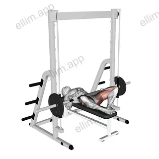 Smith Frog Hip Thrust exercise targeting Hips