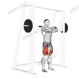 Smith Front Squat (Clean Grip) exercise targeting Thighs and Gluteus Maximus
