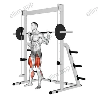 Smith Full Squat exercise targeting Thighs and Gluteus Maximus