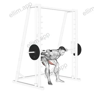 Smith Good Morning Off Pins exercise targeting Hips