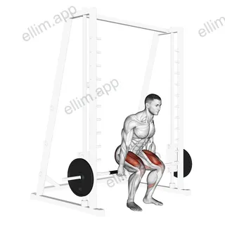 Smith Hack Squat exercise targeting Hips and Gluteus Maximus