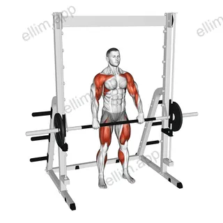 Smith Hang Clean exercise targeting Weightlifting