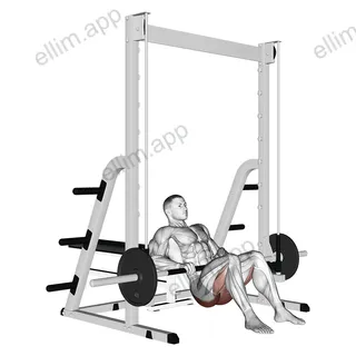 Smith Hip Thrust exercise targeting Hips and Gluteus Maximus