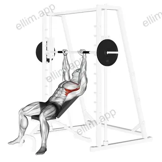 Smith Incline Shoulder Raises exercise targeting Chest and Serratus Anterior