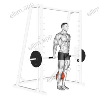 Smith Reverse Calf Raises exercise targeting Calves and Gastrocnemius