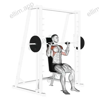 Smith Seated Shoulder Press exercise targeting Shoulders and Deltoid Anterior