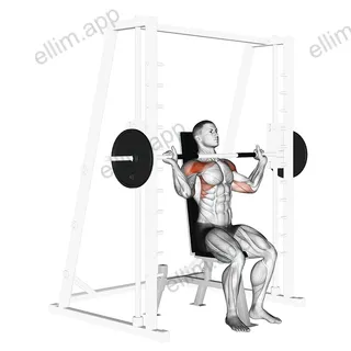 Smith Shoulder Press exercise targeting Shoulders and Deltoid Anterior