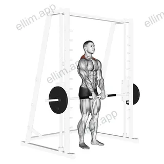 Smith Shrug exercise targeting Back and Trapezius Upper Fibers
