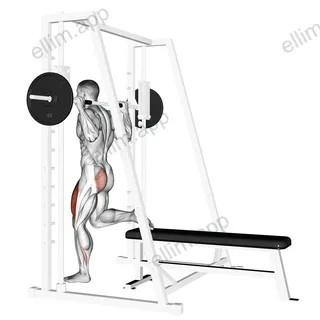 Smith Single Leg Split Squat exercise targeting Thighs and Gluteus Maximus