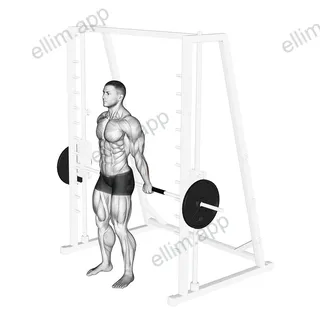 Smith Standing Back Wrist Curl exercise targeting Forearms and Wrist Flexors