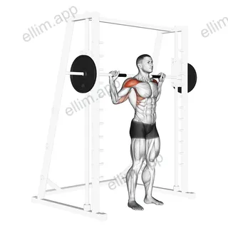 Smith Standing Behind Head Military Press exercise targeting Shoulders and Deltoid Anterior