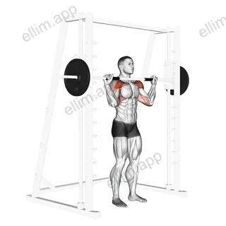 Smith Standing Military Press exercise targeting Shoulders and Deltoid Anterior