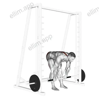 Smith Stiff Legged Deadlift exercise targeting Hips